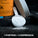Bulk Dope Pre Workout 510g