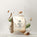 MyProtein Impact Diet Whey protein powder bag with coconut pieces and green leaves on a white background